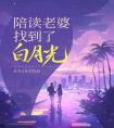 陪读老婆找到了白月光畅销巨著