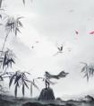 一品布衣全集小说