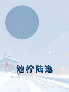 池柠陆逸畅销小说推荐