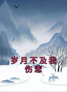 岁月不及我伤悲全文阅读