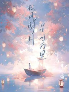 松风明月星河万里热门小说