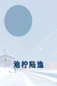 池柠陆逸畅销小说推荐