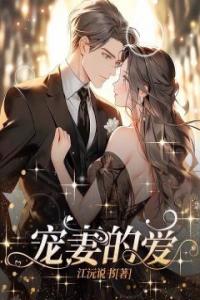宠妻的爱全文版