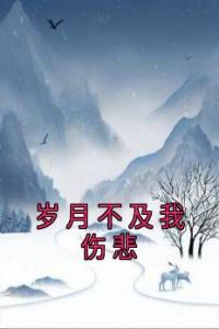 岁月不及我伤悲全文阅读