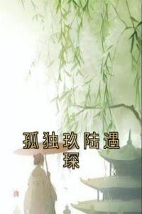 孤独玖陆遇琛精选小说推荐