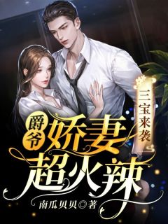 三宝来袭，爵爷娇妻超火辣全本阅读