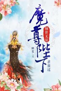 倾世无双，魔尊陛下求放过完整版