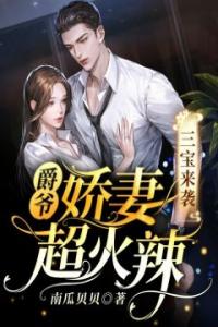 三宝来袭，爵爷娇妻超火辣全本阅读