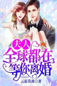 夫人，全球都在等你离婚全文版