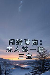 闪婚港商：夫人她一胎三宝精品阅读