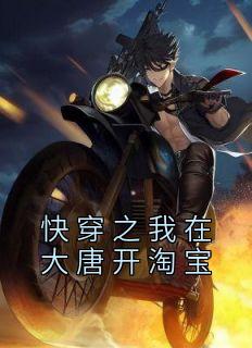 快穿之我在大唐开淘宝高质量小说