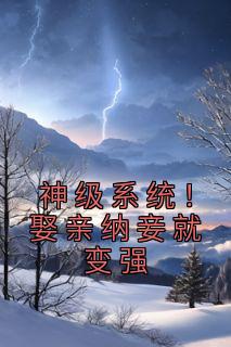 神级系统！娶亲纳妾就变强精选小说