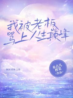 我被老板骂上人生巅峰完整阅读