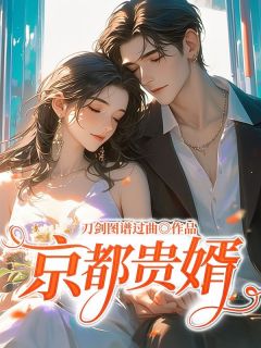 京都贵婿长篇小说