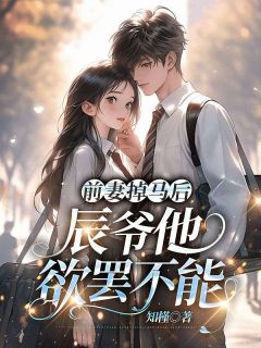 前妻掉马后，辰爷他欲罢不能高质量小说