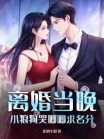 离婚当晚，小狼狗哭唧唧求名分全文阅读