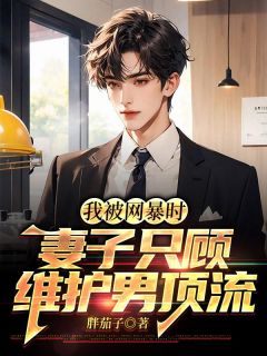 我被网暴时，妻子只顾维护男顶流全集小说