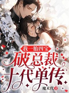 我一胎四宝，破总裁十代单传全集小说