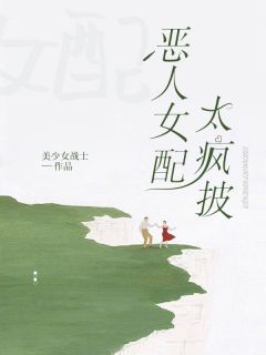 爽文：恶人女配太疯披精品小说