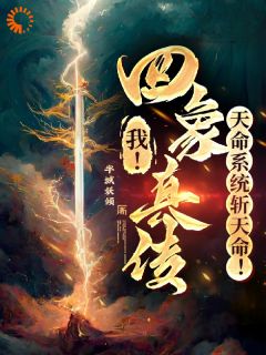 我！四象真传，天命系统斩天命！高质量小说