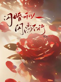 闪婚可以，闪离不行精品阅读
