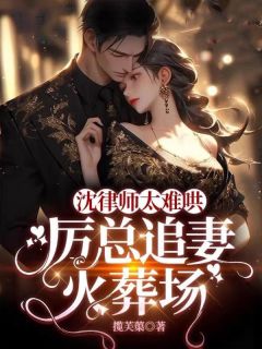 沈律师太难哄，厉总追妻火葬场全文版