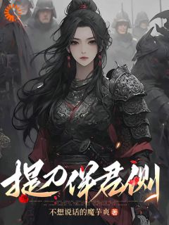 提刀伴君侧完整文本