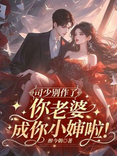 司少别作了，你老婆成你小婶啦！完整版