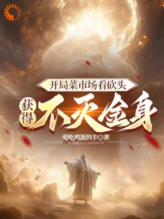 开局菜市场砍头，获得不灭金身精选小说