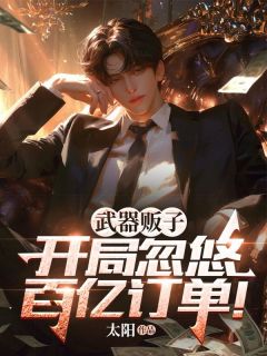 武器贩子，开局忽悠百亿订单！精选小说