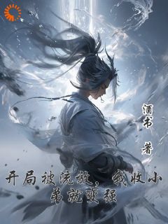 开局被流放，我收小弟就变强畅销小说推荐