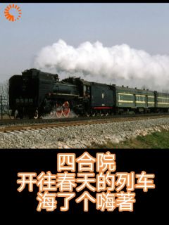 四合院之一开往春天的列车全章阅读