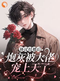 协议结婚后炮灰被大佬宠上天了免费看