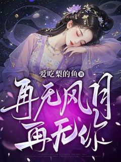 再无风月再无你畅销巨著