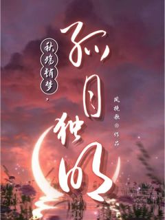 秋殇销梦，孤月独明全章阅读