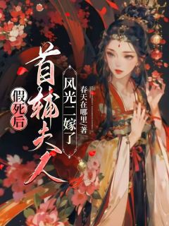 假死后，首辅夫人风光二嫁了畅销小说推荐