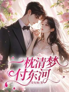 一枕清梦付东河精选小说