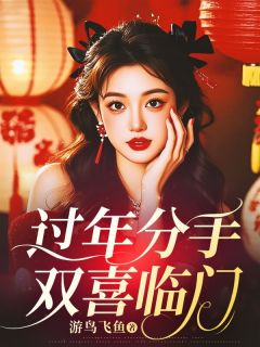 过年分手，双喜临门全文阅读