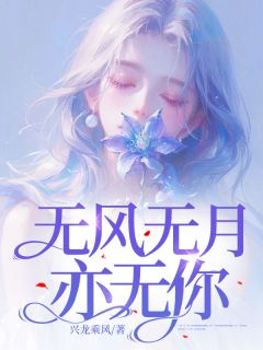 无风无月亦无你热门小说