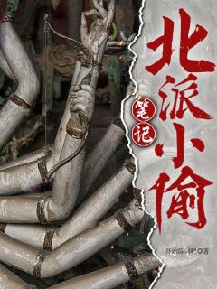 北派小偷笔记全文版