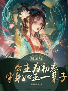 成亲后，公主为初恋守身如玉一辈子优秀文集
