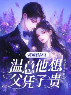 离婚后掉马，温总他想父凭子贵热门小说