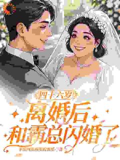 四十六岁离婚后，和霸总闪婚了优秀文集