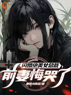 闪婚绝美女总裁，前妻悔哭了全文阅读