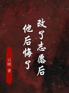 改了志愿后，他后悔了畅销小说推荐