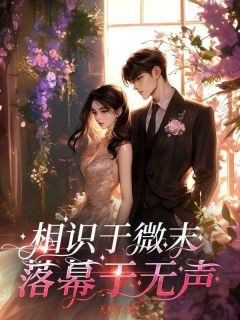 相识于微末，落幕于无声全集小说推荐