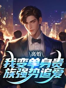 第一章决定离婚了江辰完整阅读