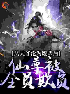 从天才沦为废柴后，仙尊被全员欺负精选小说推荐