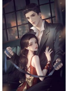 明月何曾是故乡免费看
