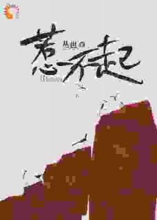 惹不起全文阅读